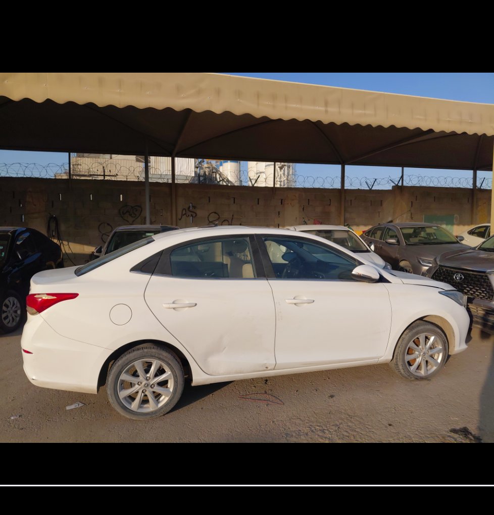 شانجان السفن عادي 2024 image