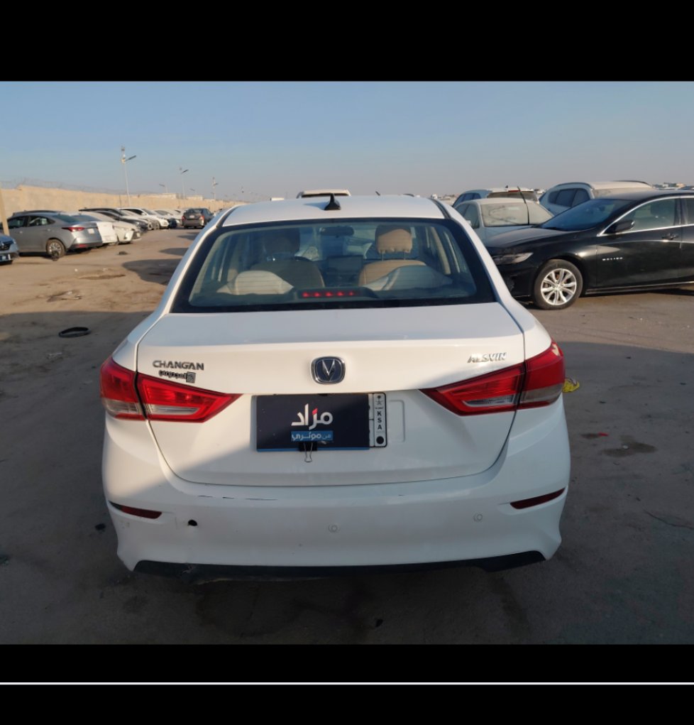 شانجان السفن عادي 2024 image