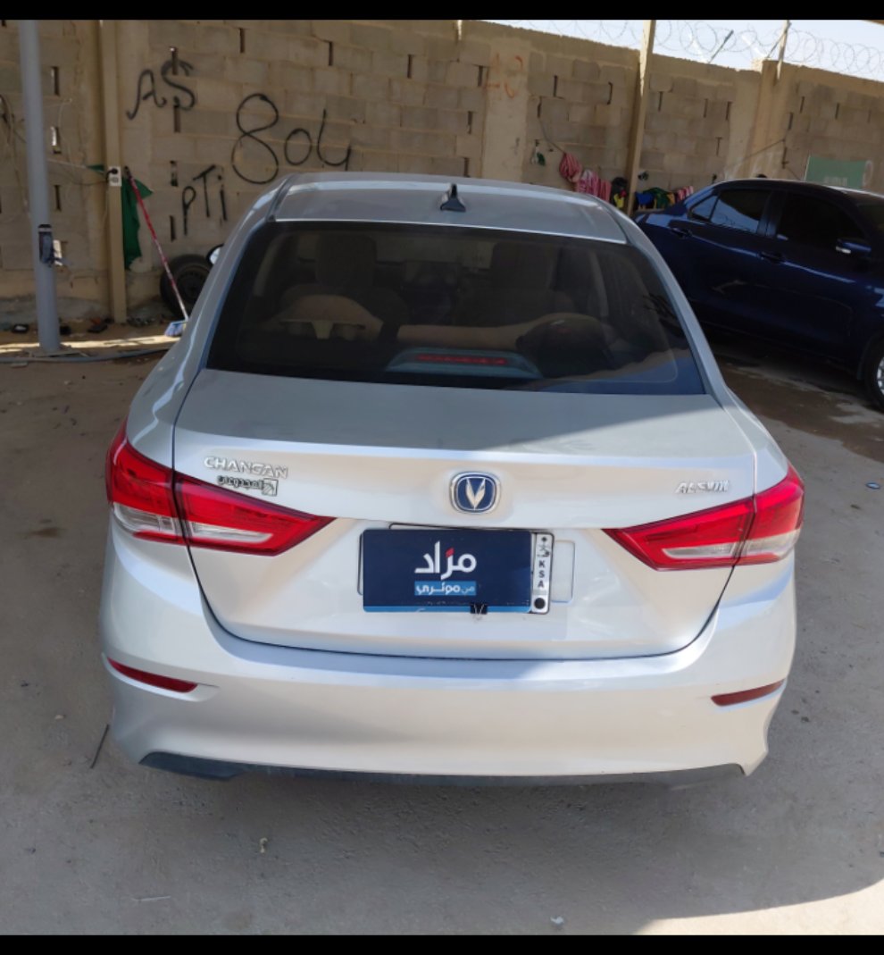 شانجان السفن اساسي 2024 image