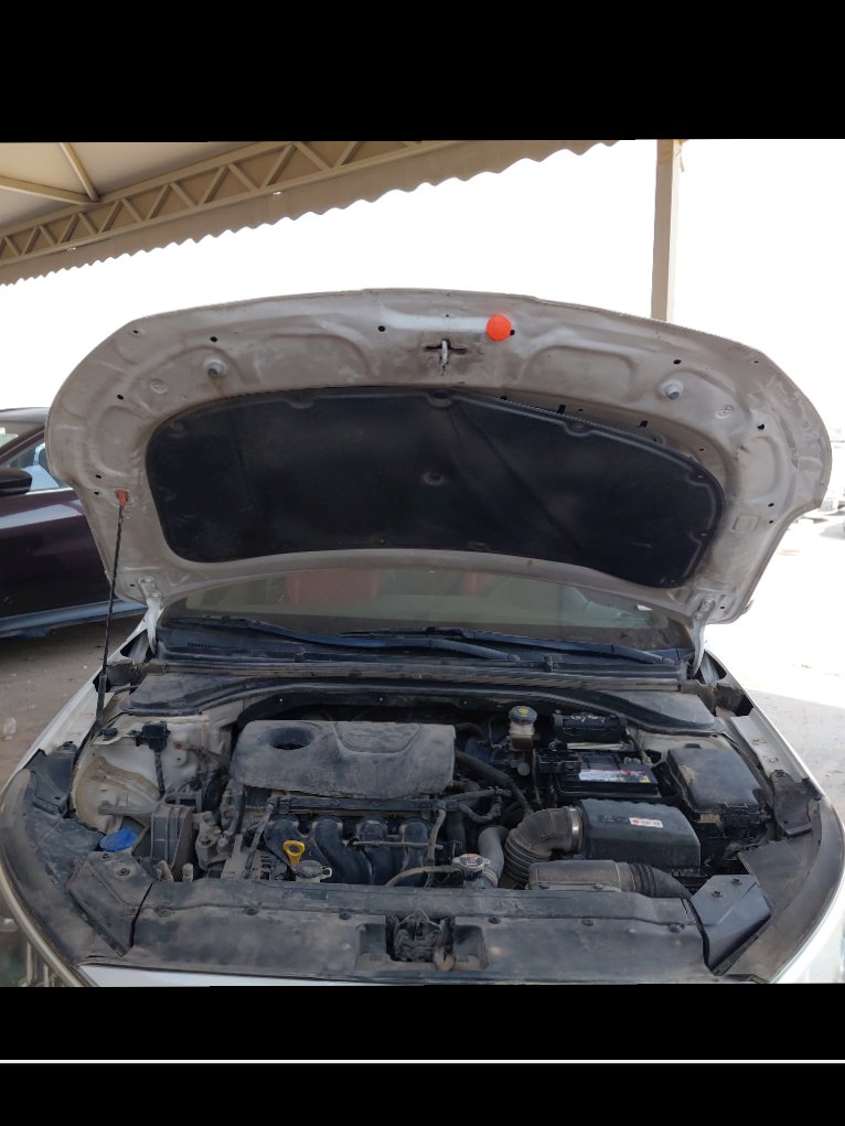 هيونداي إلنترا FLEET  2020 image