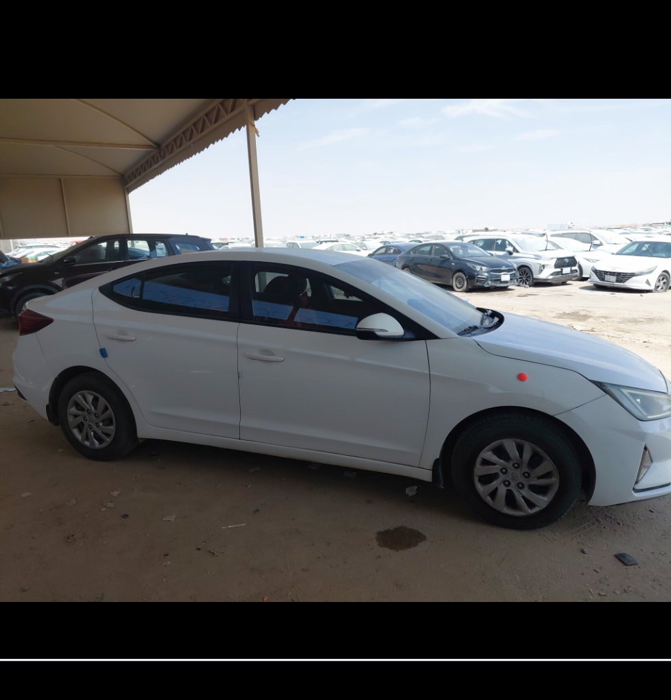 هيونداي إلنترا FLEET  2020 image