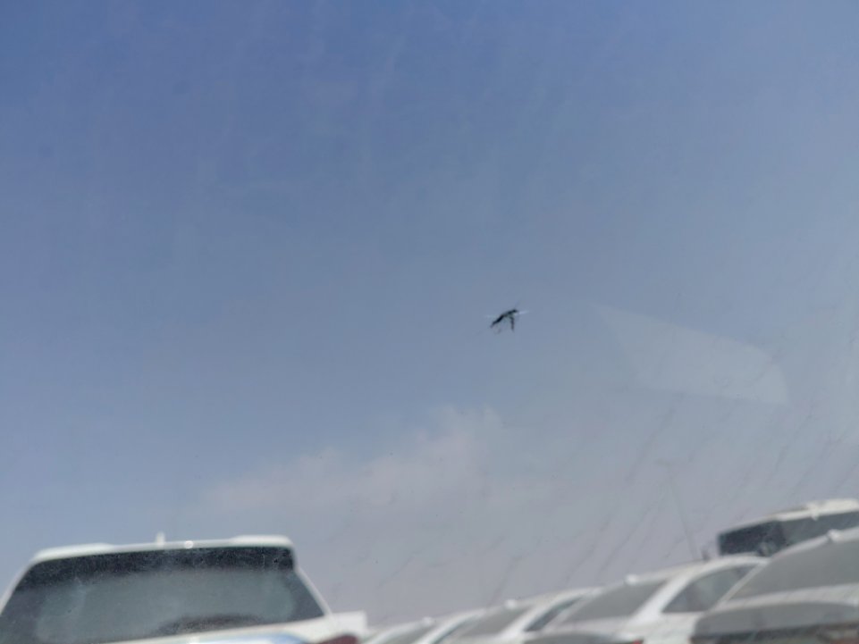 تويوتا يارس  2023 image