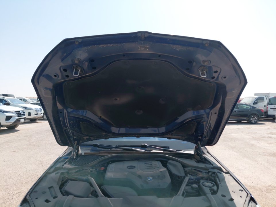 BMW 730 Li  2022 image