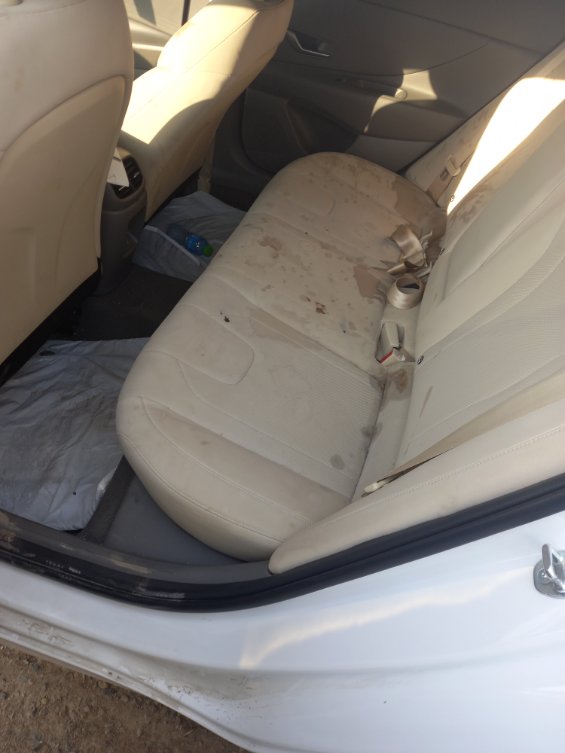 Hyundai Elantra  2024 image