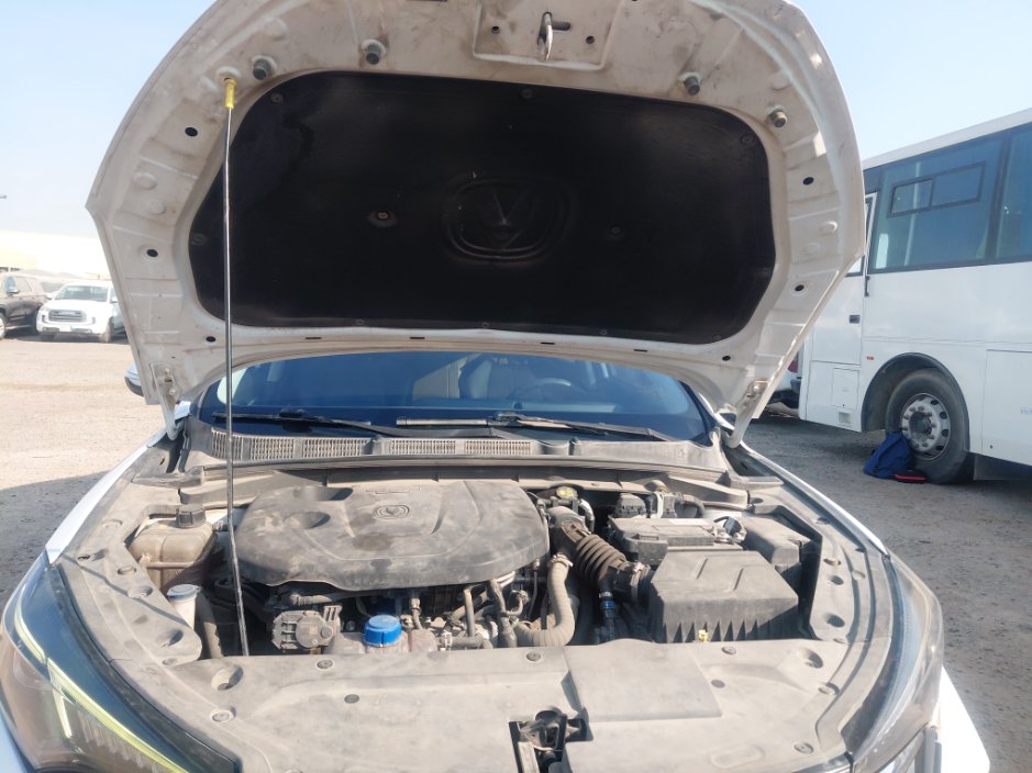 Changan Eado Plus  2023 image