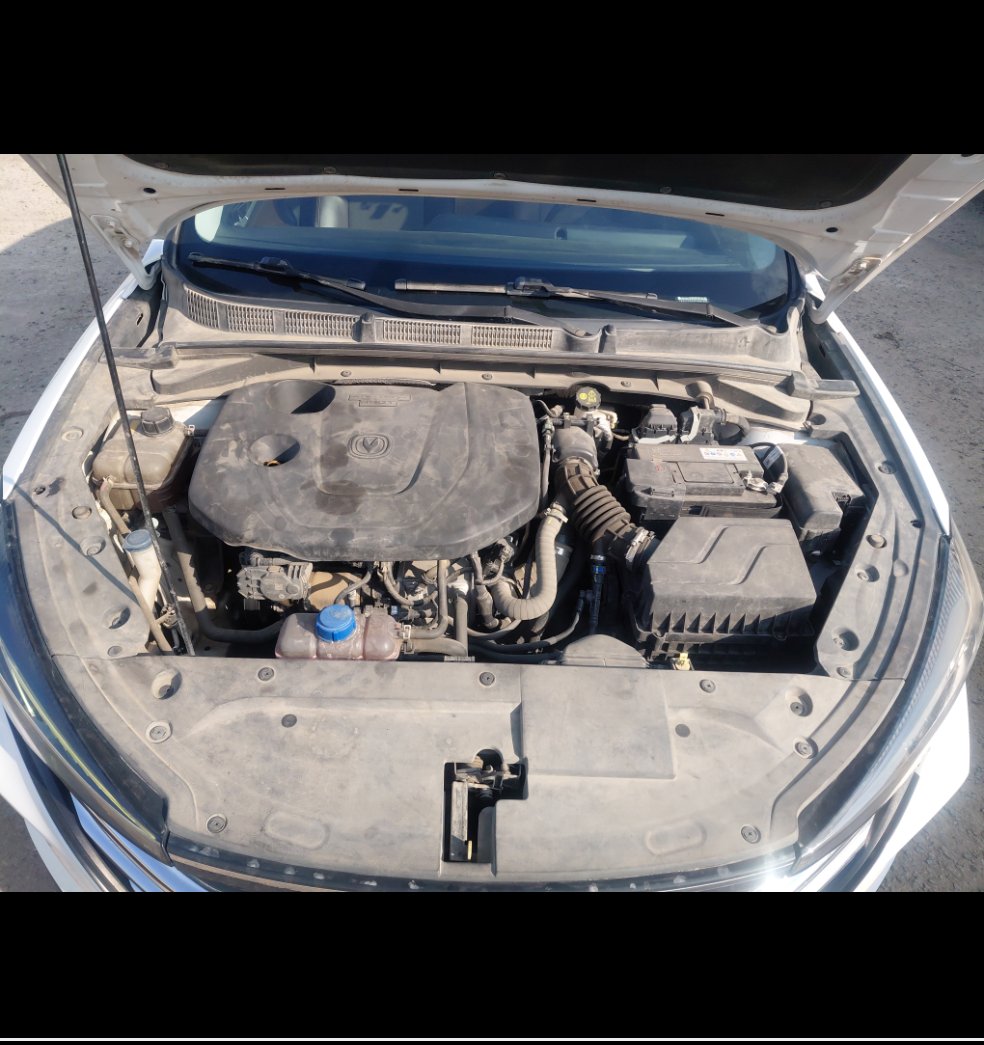 Changan Eado Plus  2023 image