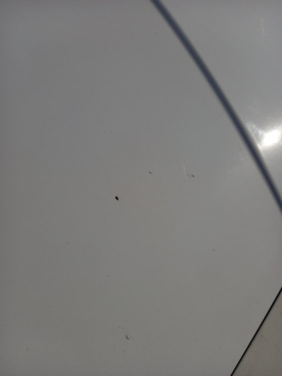 Hyundai Elantra  2024 image