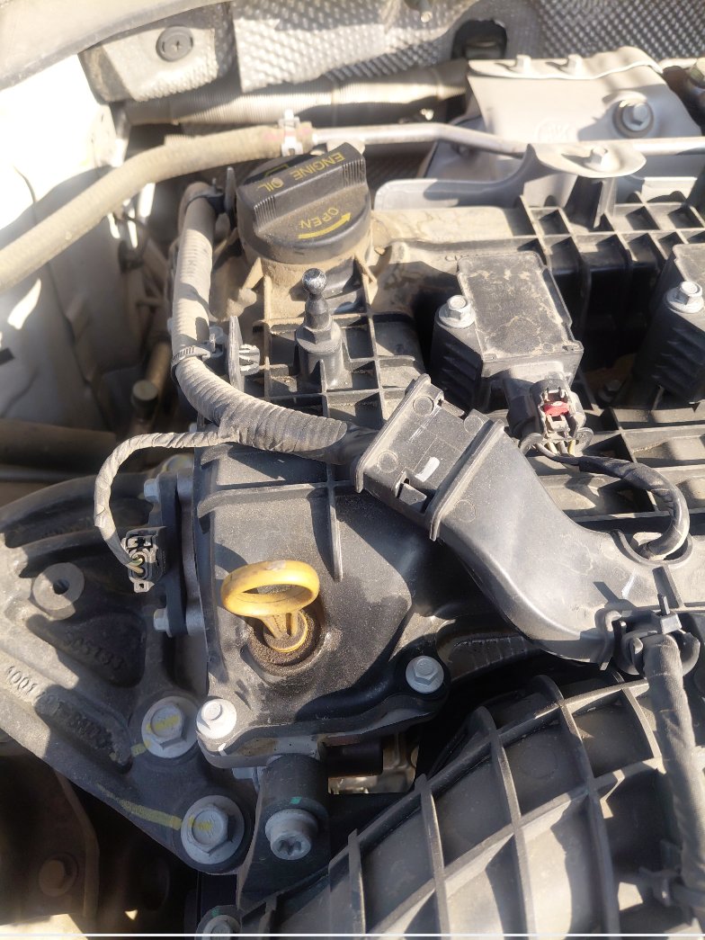 Changan Eado Plus  2023 image