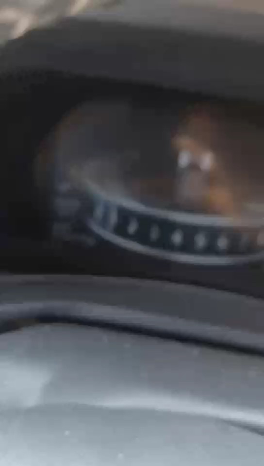 تويوتا فيلوز  2024 video
