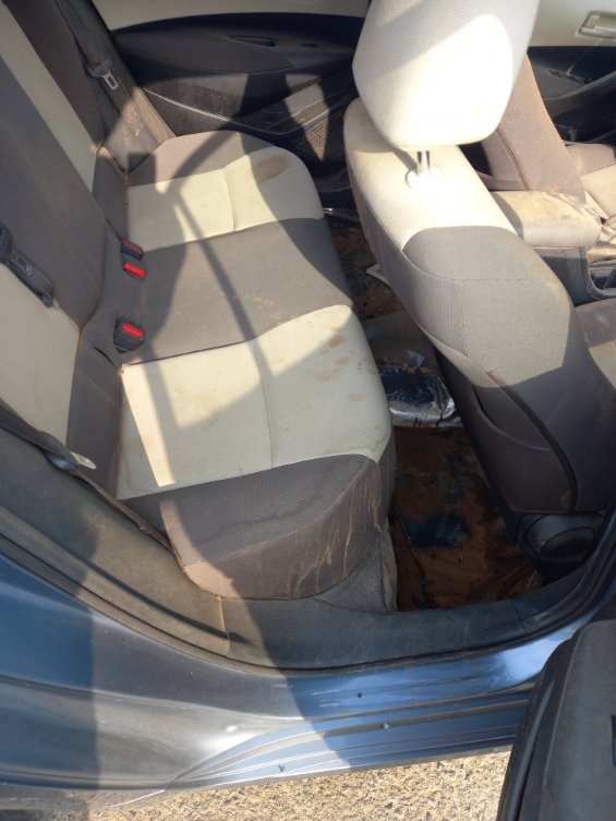 Toyota Corolla  2024 image