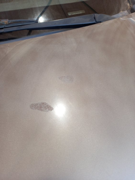 KIA Pegas  2020 image