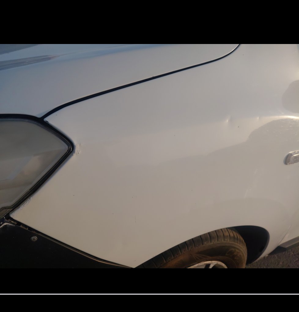 رينو دوكر FLEET 2019 image