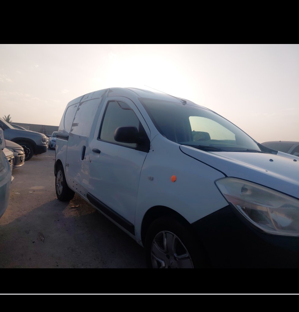 رينو دوكر FLEET 2019 image