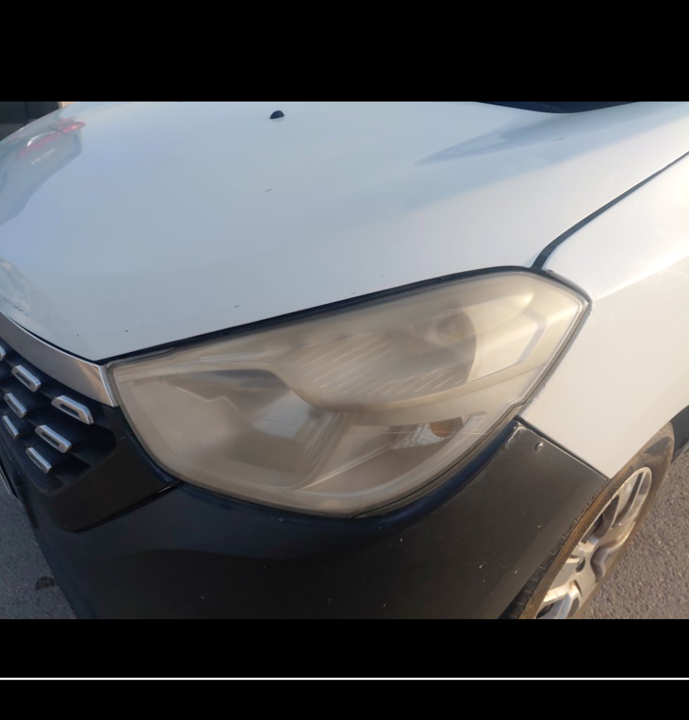 رينو دوكر FLEET 2019 image