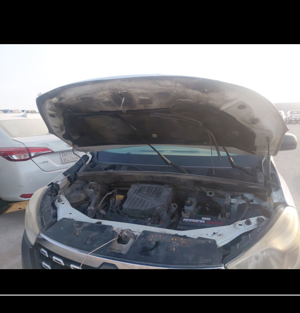 رينو دوكر FLEET 2019 image