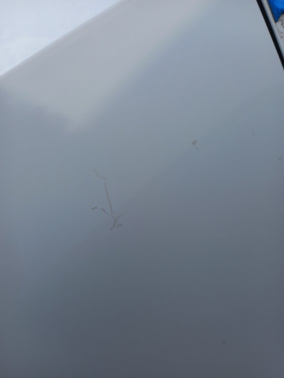 كيا سبورتاج NQ5E SPORTAGE LX 4WD 2024 image