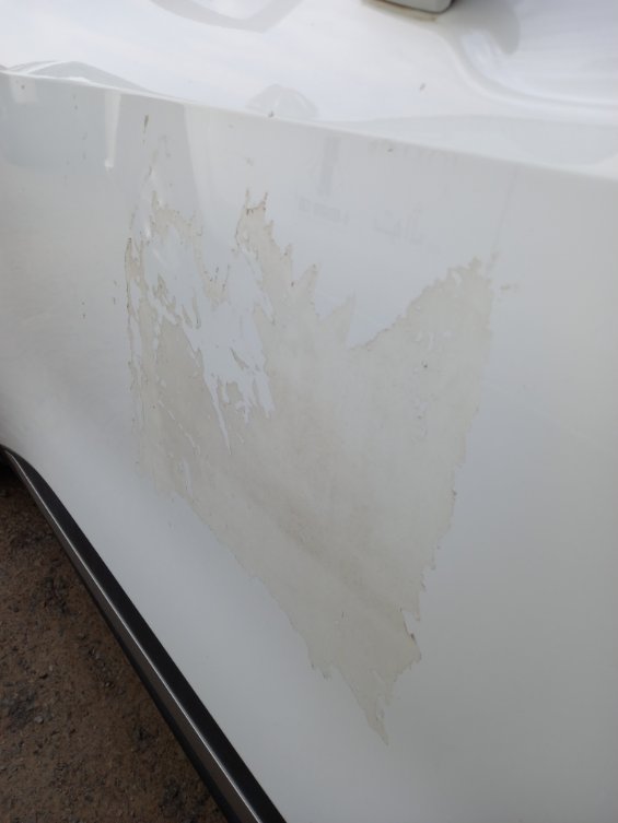 كيا سبورتاج NQ5E SPORTAGE LX 4WD 2024 image