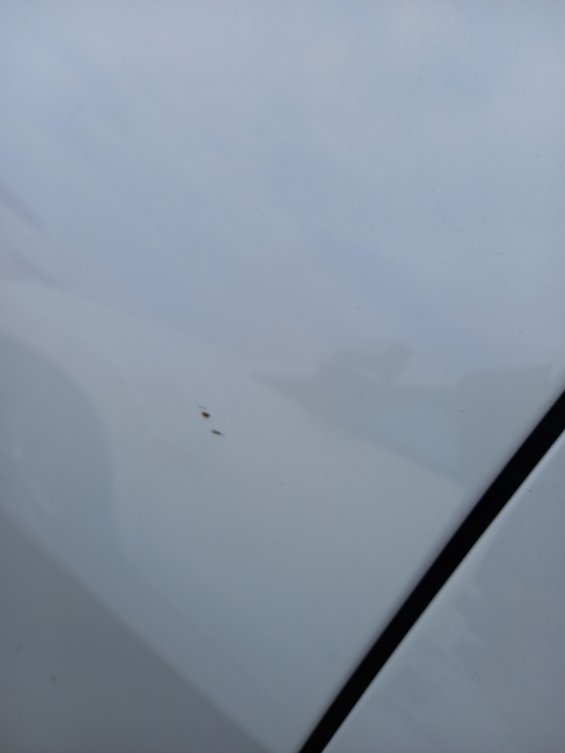 كيا سبورتاج NQ5E SPORTAGE LX 4WD 2024 image