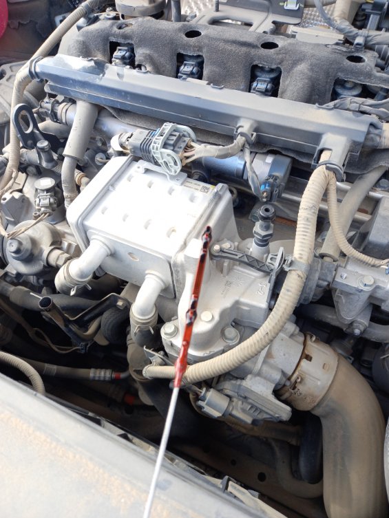 كيا سورينتو MQ4  LX AWD 2023 image