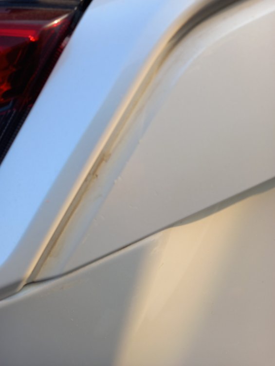Toyota RAV4 LE 2024 image