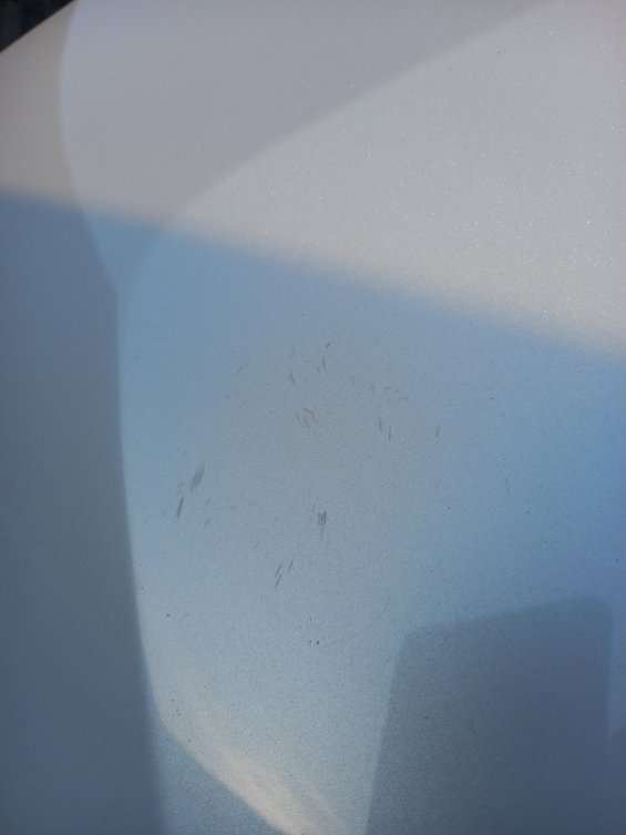 Toyota RAV4 LE 2024 image