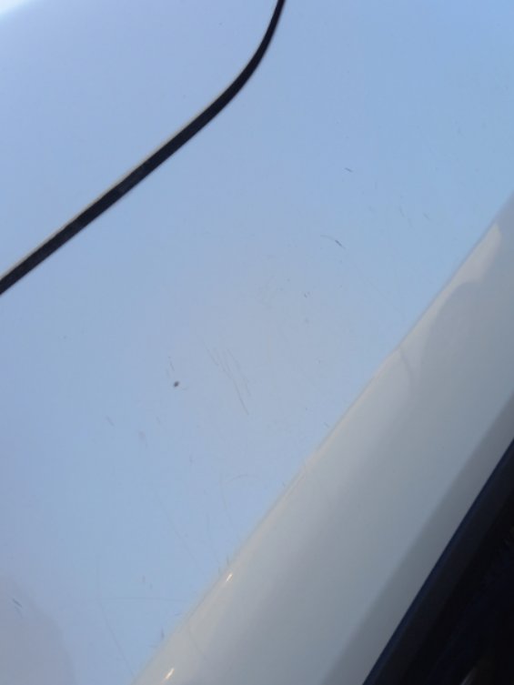Toyota RAV4 LE 2024 image