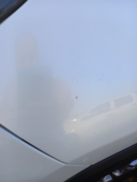 Toyota RAV4 LE 2024 image