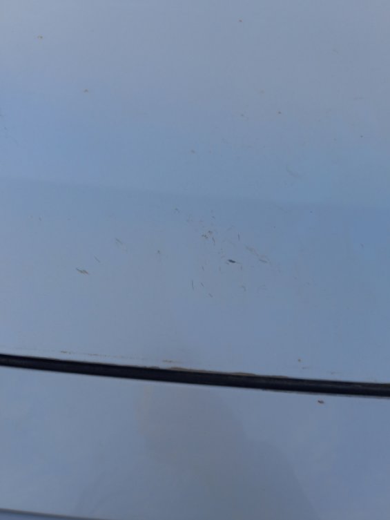 Toyota RAV4 LE 2024 image