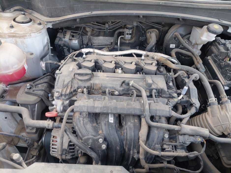 KIA Sportage NQ5E SPORTAGE LX 4WD -  2024 image