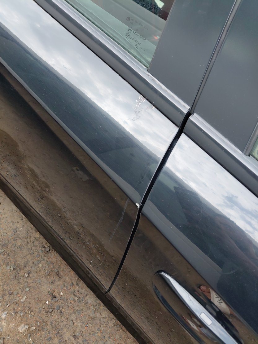 Dodge Charger  2022 image