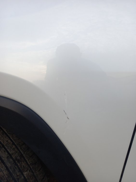 تويوتا راف فور LE- 4WD 2024 image