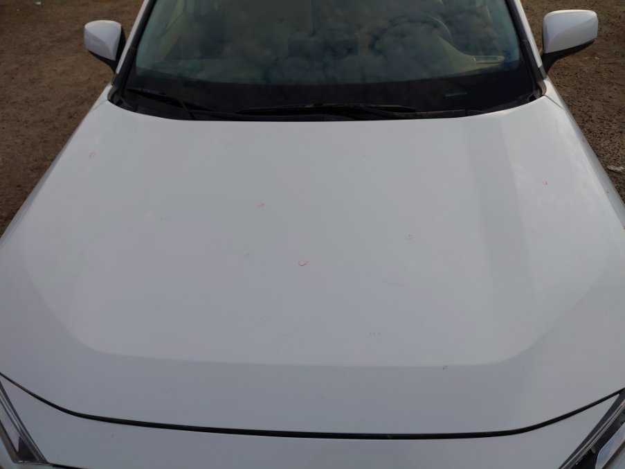 تويوتا راف فور LE- 4WD 2024 image