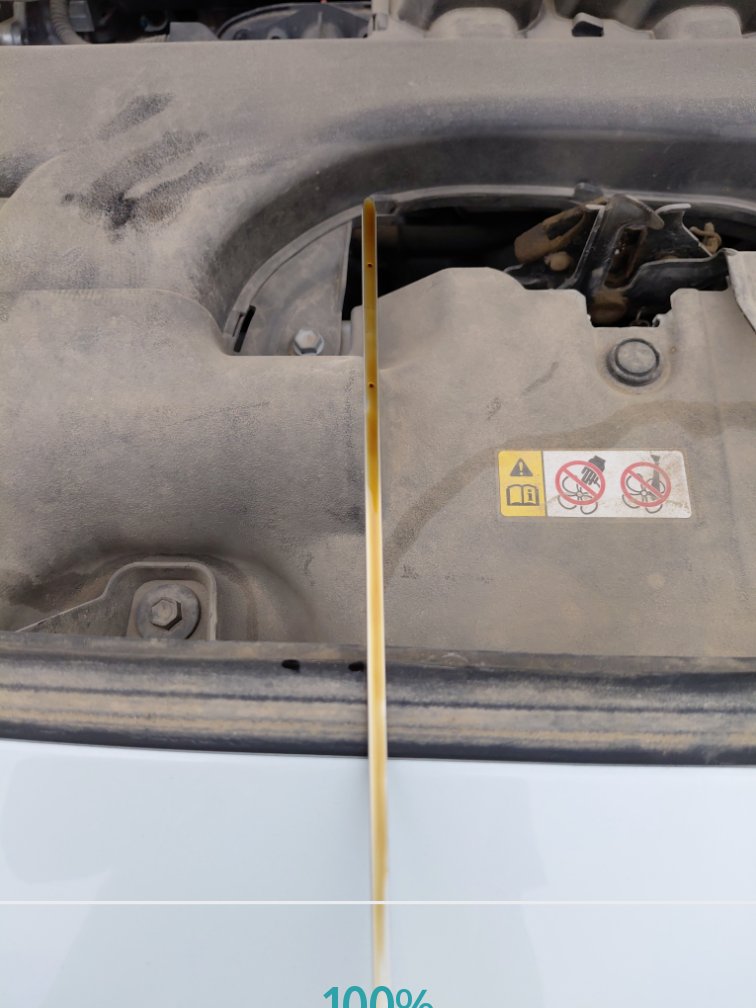 تويوتا راف فور LE- 4WD 2024 image
