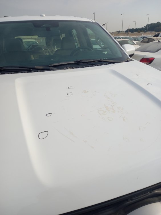 Ford Expedition XLT 2024 image