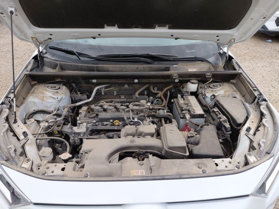 تويوتا راف فور LE- 4WD 2024 image