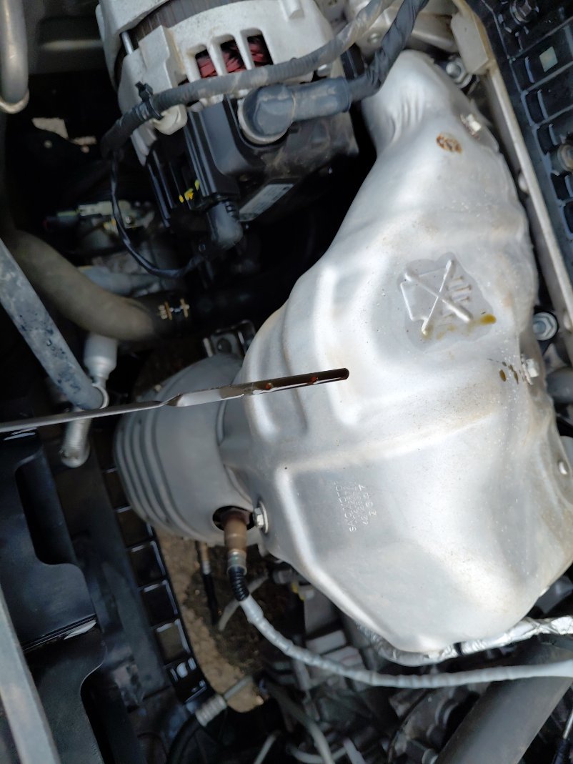 MG 5  2024 image
