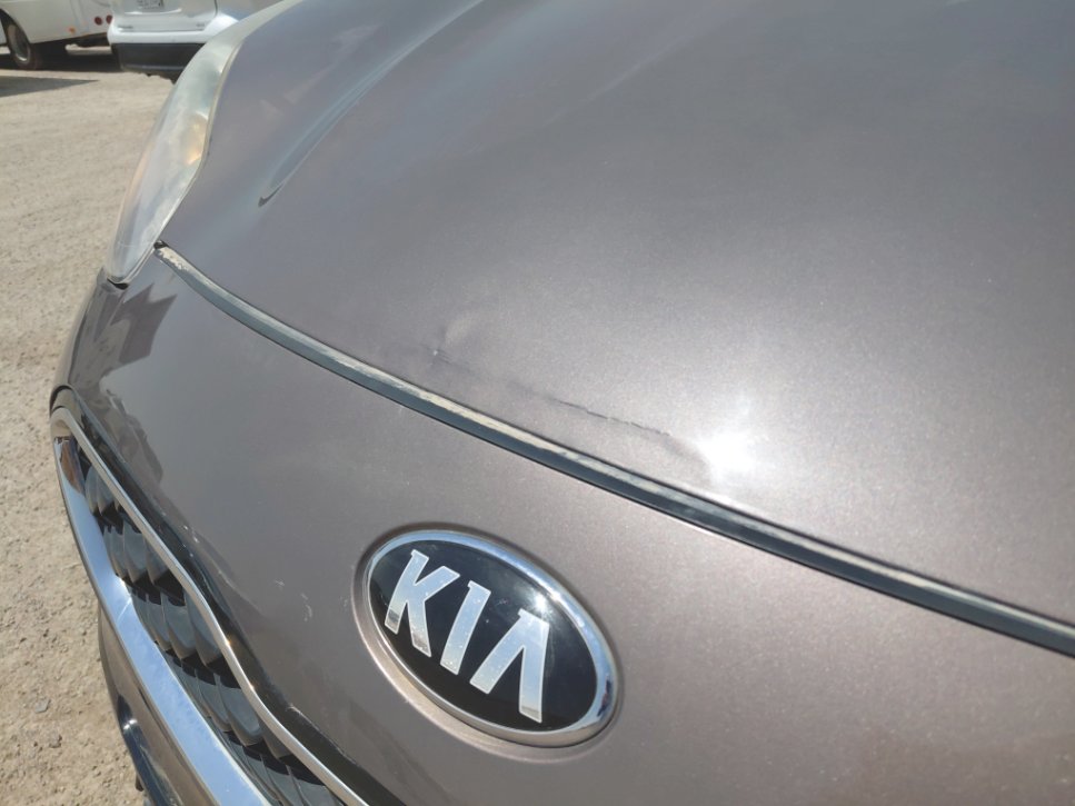 KIA Sportage QLE LX 4WD 2020 image