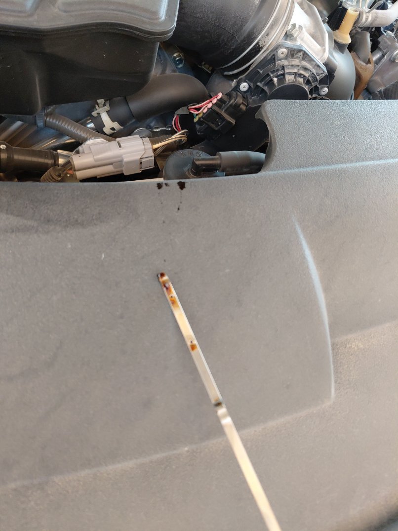 Lexus LX 570 2021 image