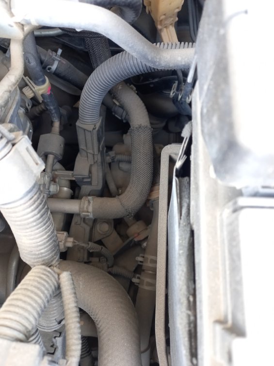 Toyota Corolla  2020 image