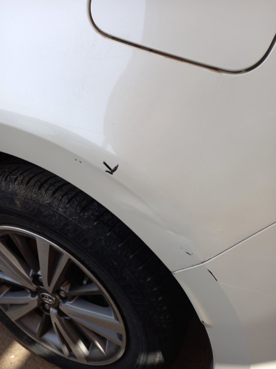 Toyota Corolla  2020 image