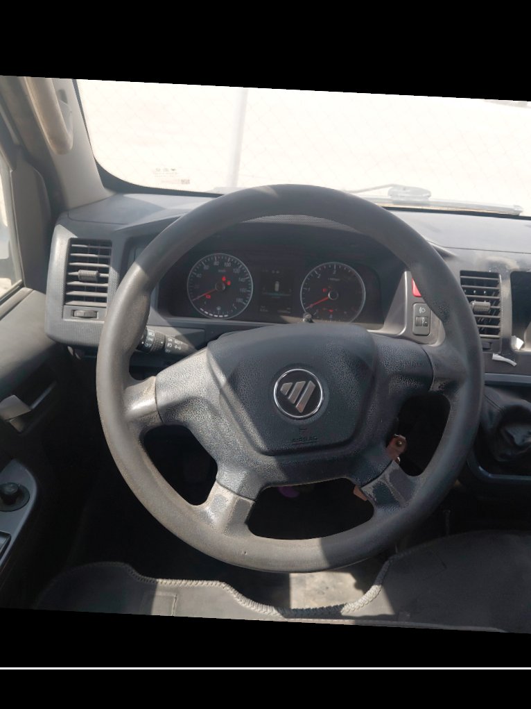 Foton CS2 VIEW  2023 image