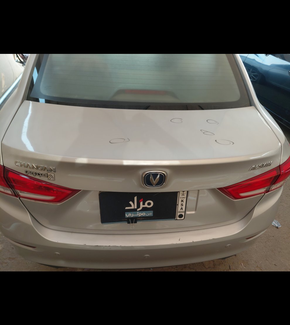 شانجان السفن  2024 image