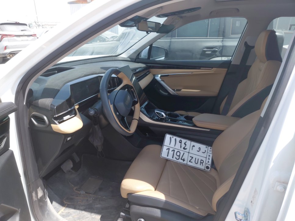 جيلي ستار راي  2024 image