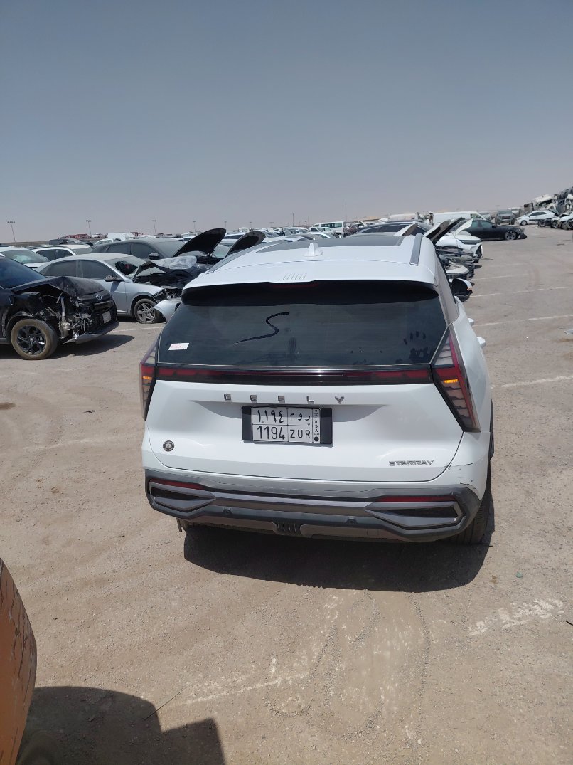 جيلي ستار راي  2024 image