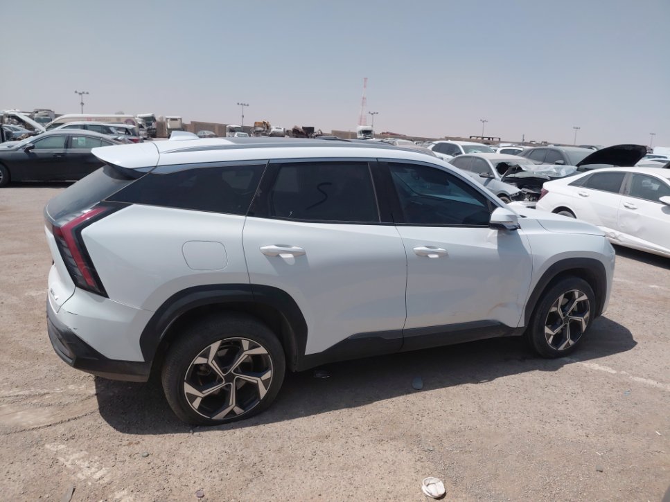 جيلي ستار راي  2024 image