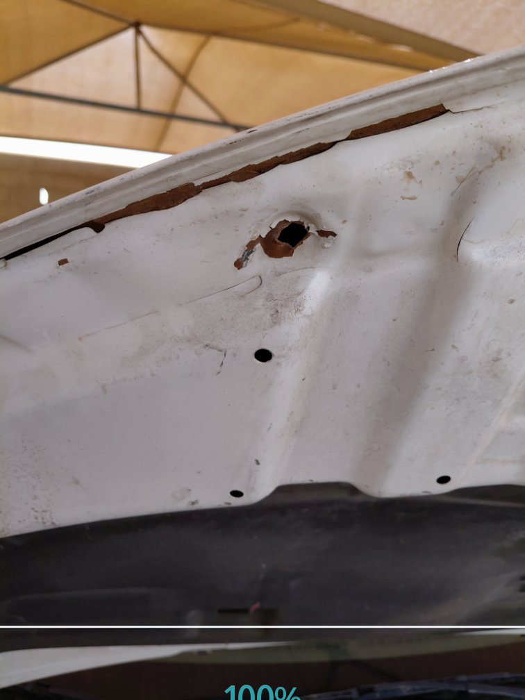 Toyota Yaris Y FLT 2021 image