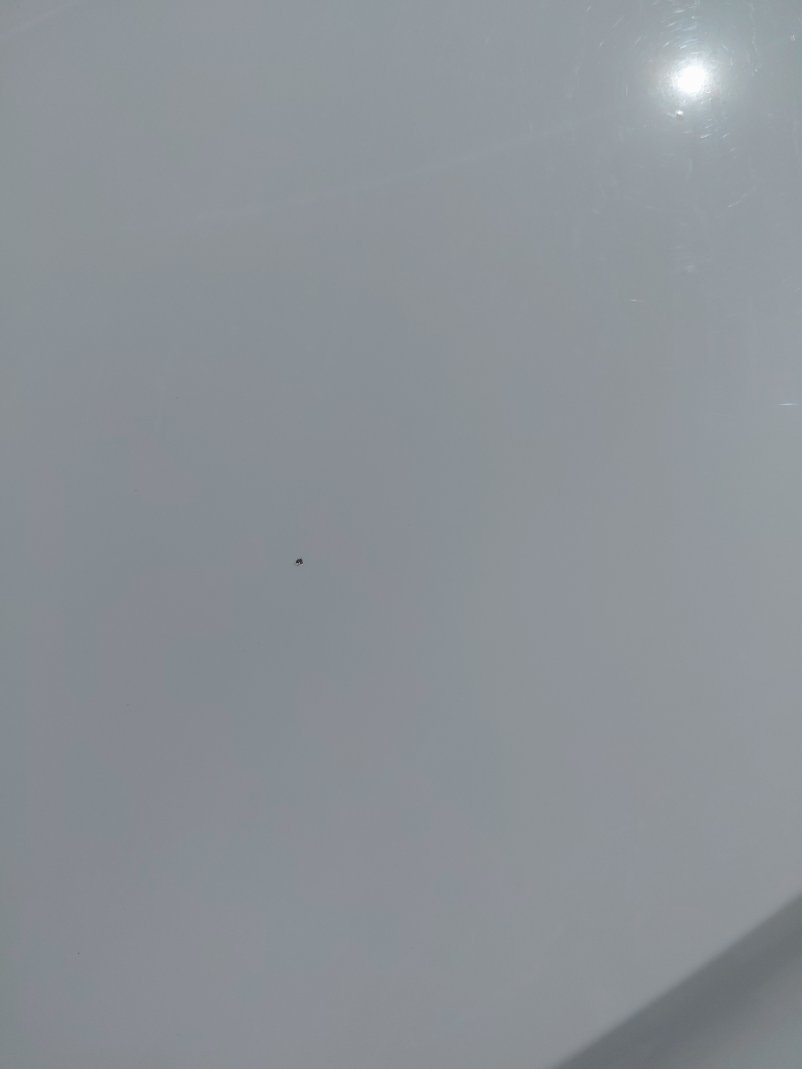Hyundai Elantra  2025 image