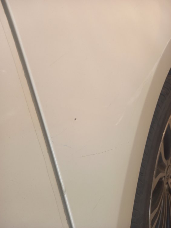 Toyota Corolla GLI M/R  2021 image