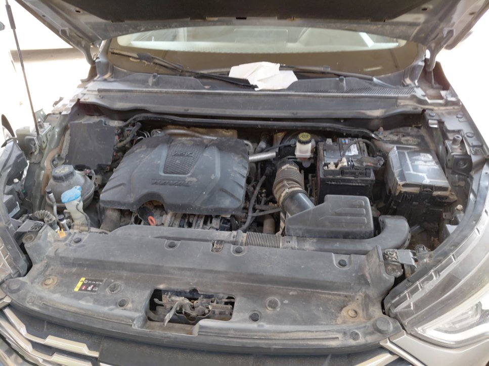 Haval Jolion رياضية اساسي 2024 image