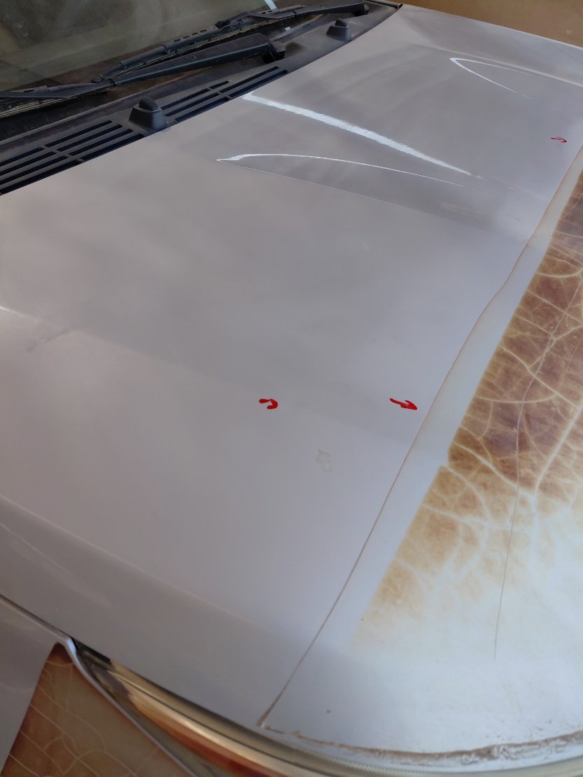 تويوتا راش STD 75 SPORTS UTILITY  2021 image
